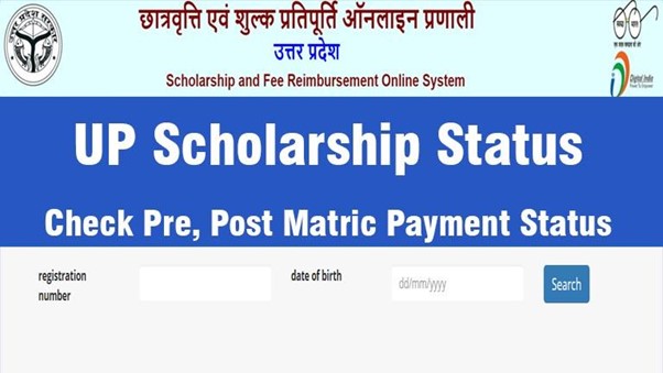 Up Scholarship 2024